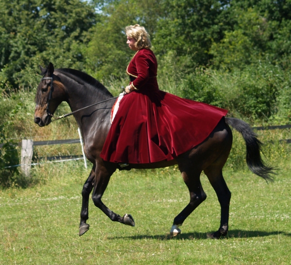 hanoverian galloping