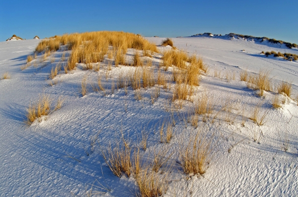 shifting sand dunes in winter on