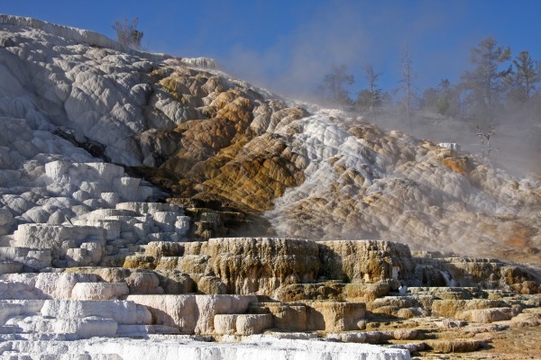 mammoth hot springs