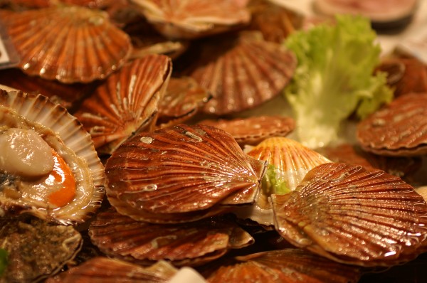 scallops with lettuce leaf