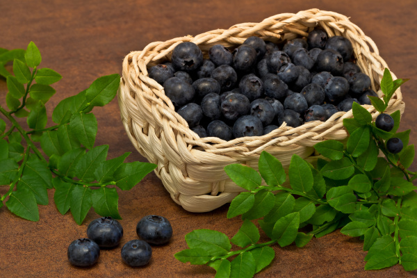 blueberries blueberries