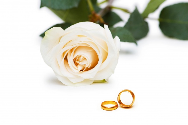 wedding concept with roses and rings