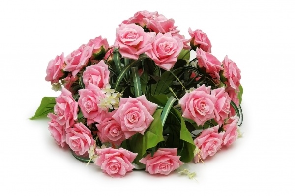 bouquet of roses isolated on the