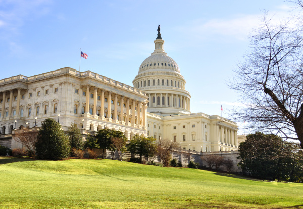 Capitol Hill Building Washington Dc. - Stock Photo #7802501 