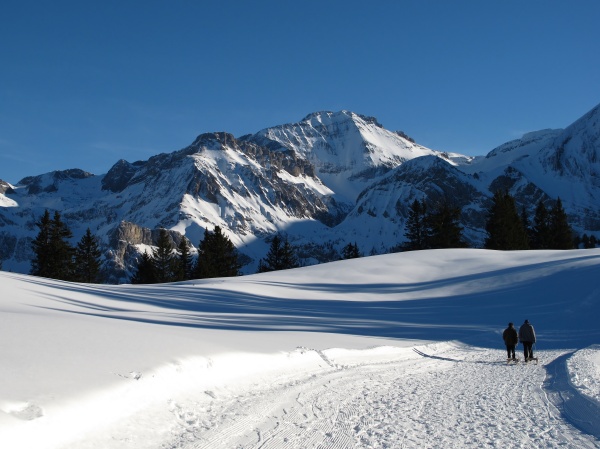 winter scenery in the bernese oberland