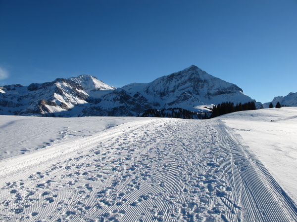 winter scenery near gstaad spitzhorn