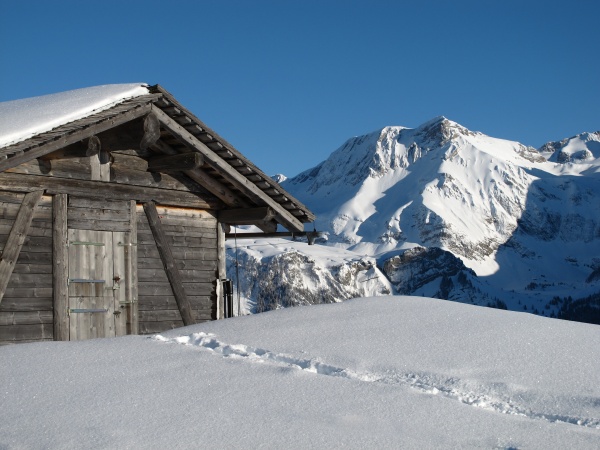 hut and mountain in the bernese