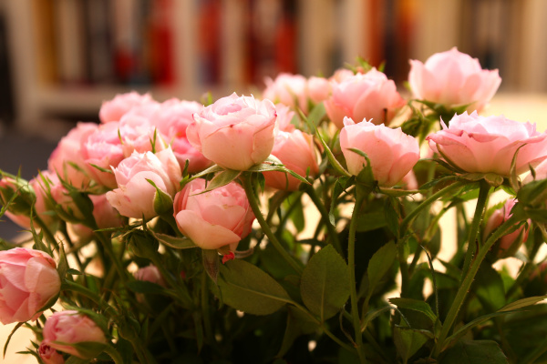 roses