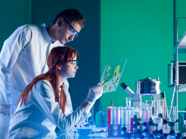 pharmaceutical scientists studying a sample