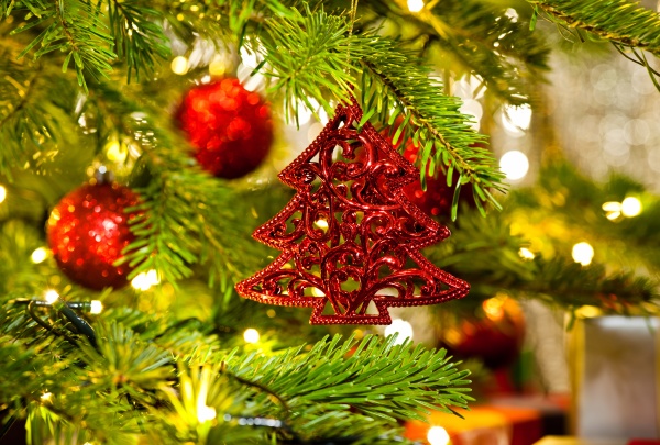 ornament in a real christmas tree
