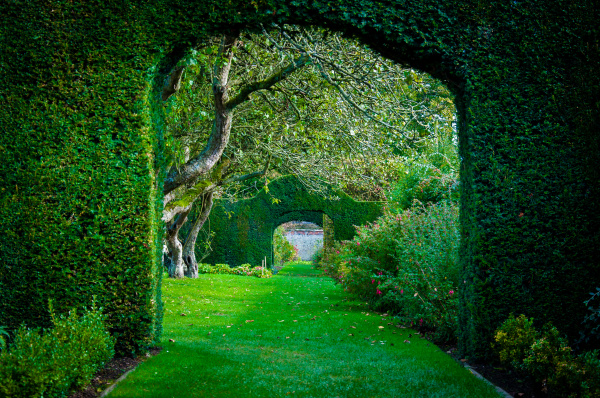 green plant arches in english countryside