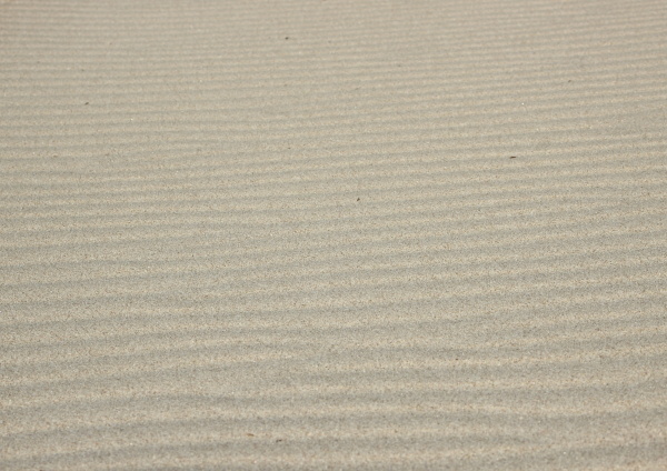 isolated horizontal sand wave texture at