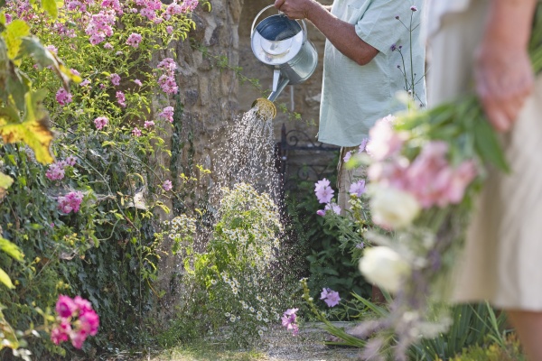close up of senior man watering