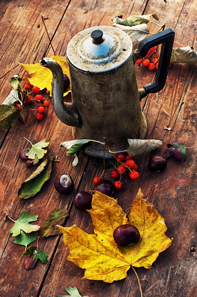 autumn fruits and berries on a