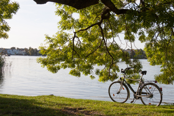 bicycle under tree by the lake