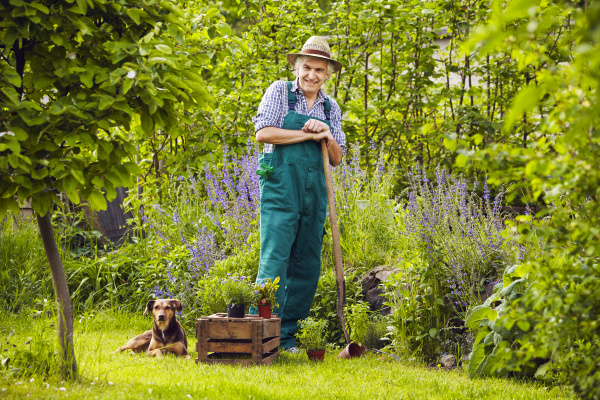 Gardener s Garden Standing Laughing - Royalty free image #14371977 ...