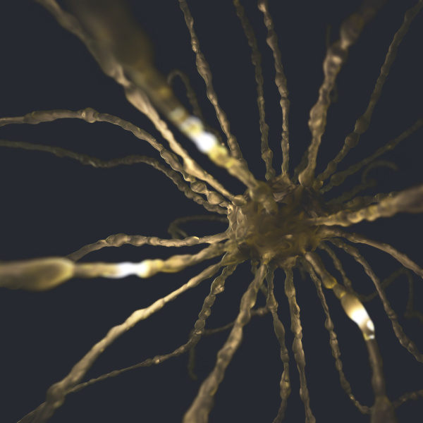 neurons concept