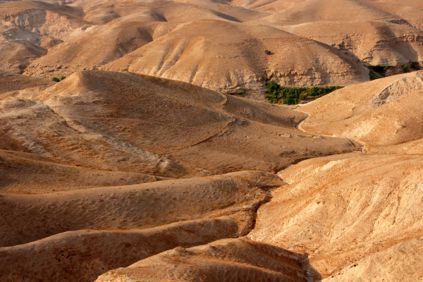 judean desert landscape