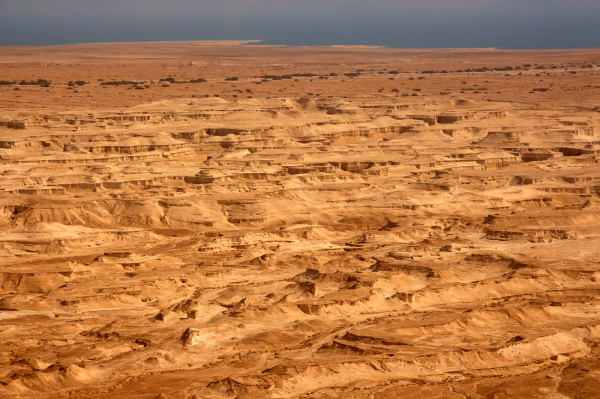 desert landscape israel