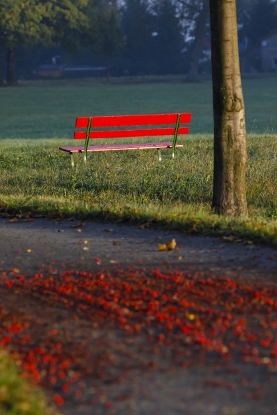 germany red bench in autumn