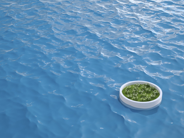 3d rendering island with meadow