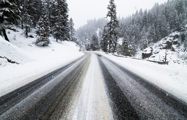 a snowy road alongside a winter