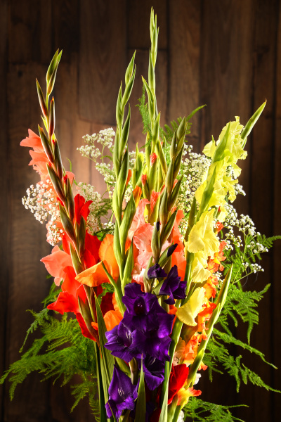 composition with bouquet of gladiolus flowers