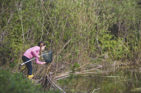 girl retrieving frog from fishing net
