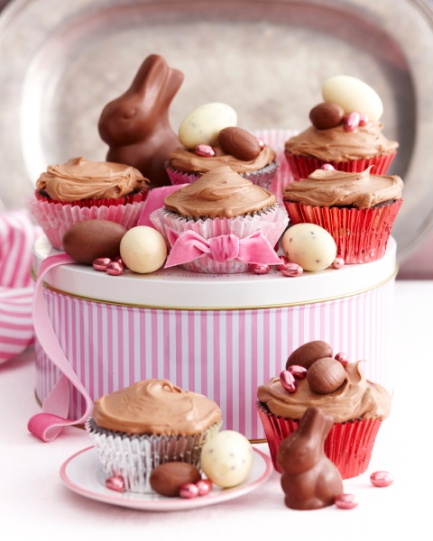 chocolate cupcakes covered with icing decorated