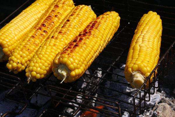 cooked corn cobs on barbecue grill