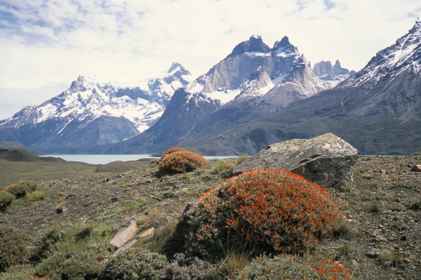 torres del paine national park