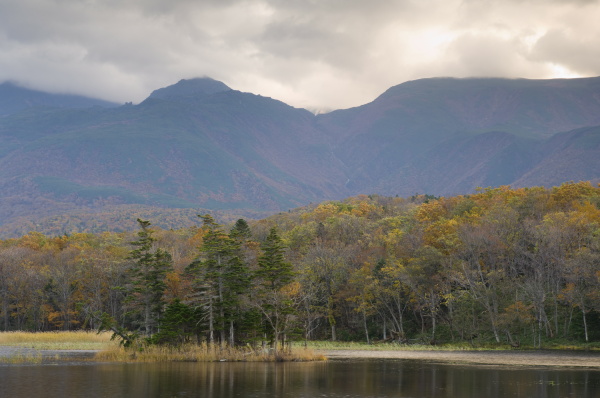 Shiretoko Five Lakes Shiretoko National Park - Stock Photo #19039423 ...