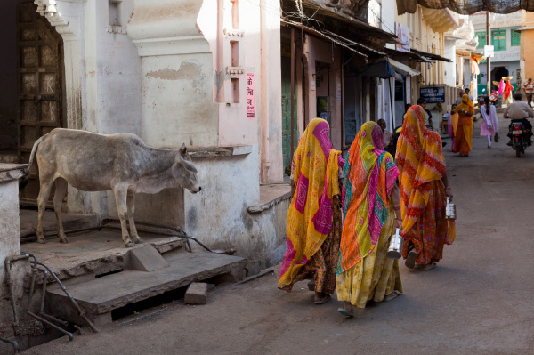 ladies in traditional dress walking past