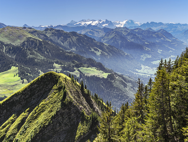 panorama from the stanserhorn