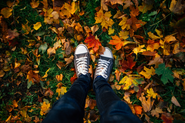 teenage legs in sneakers in autumn