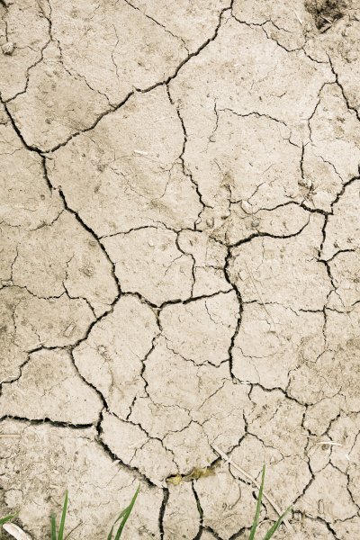 dry mud desert background texture