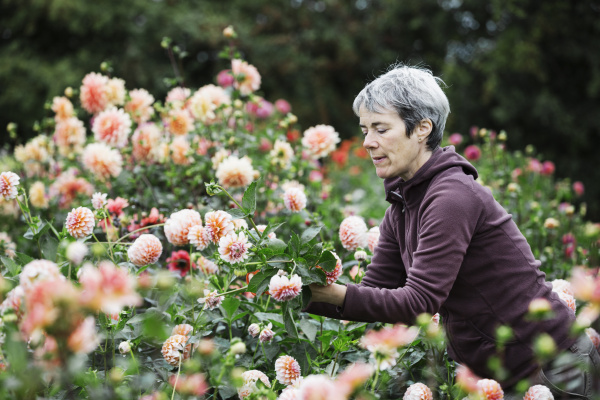a woman picking flowers peach