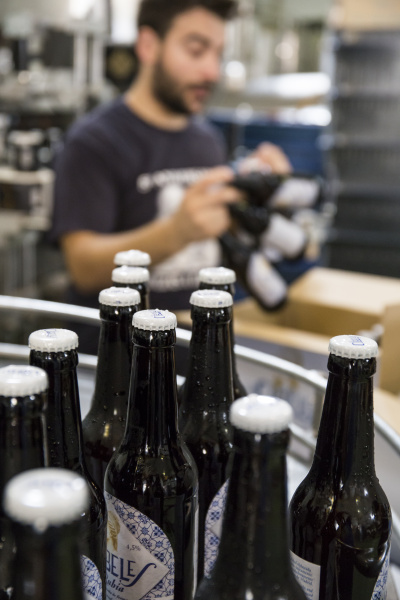 man working in beer bottling plant