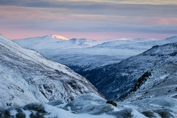 scenic view of dovrefjell sunndalsfjella national