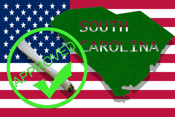 south carolina on cannabis background