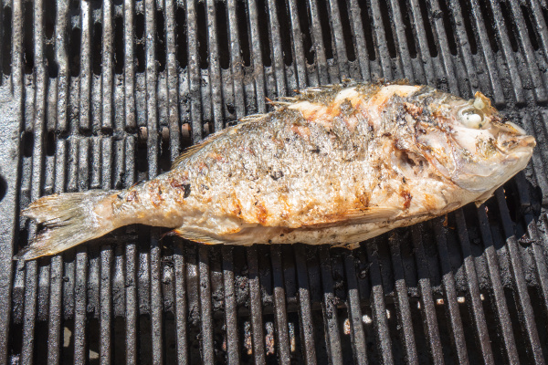 fish sea bream on bardecue
