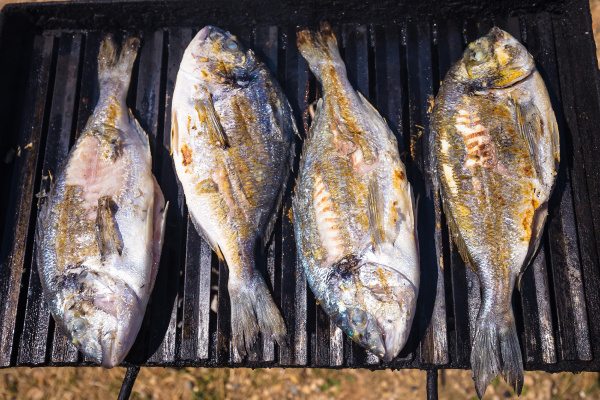 bream sea fish on grill