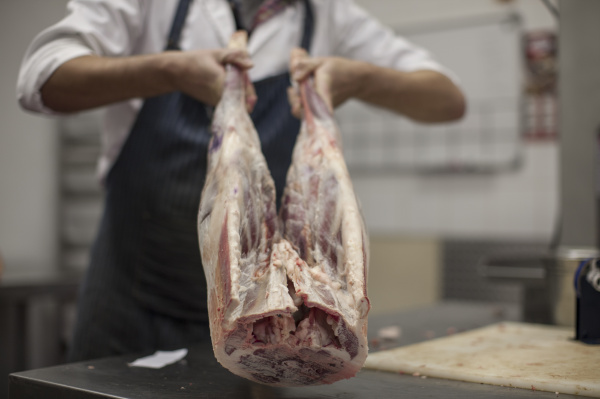 butcher holding carcass in butchery