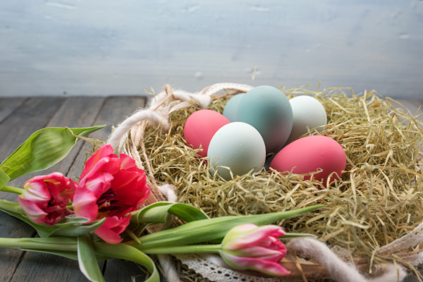 still life with easter nest and