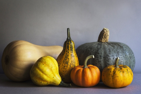 selection of pumpkins on a grey