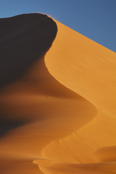 sand dune shifting in the wind