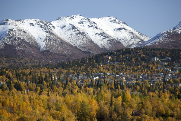 scenic view of anchorage s residential
