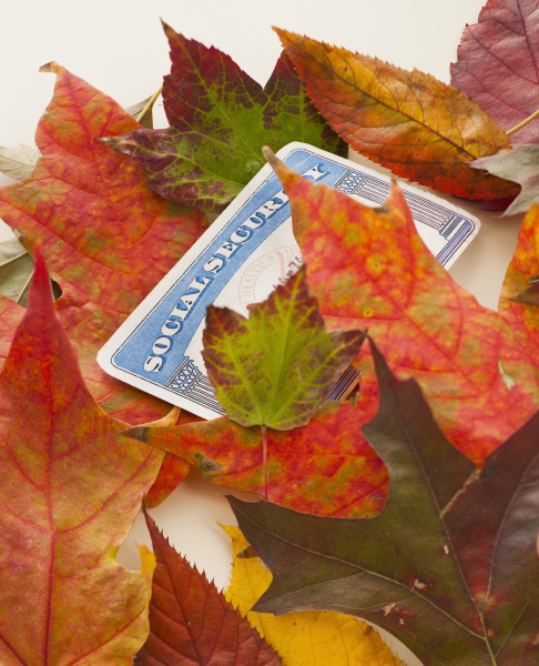 social security card and autumn leaves