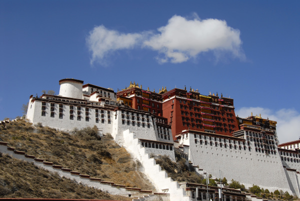 white cloud over potala winter palm