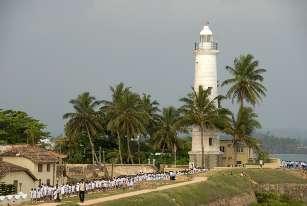 white lighthouse with palm trees